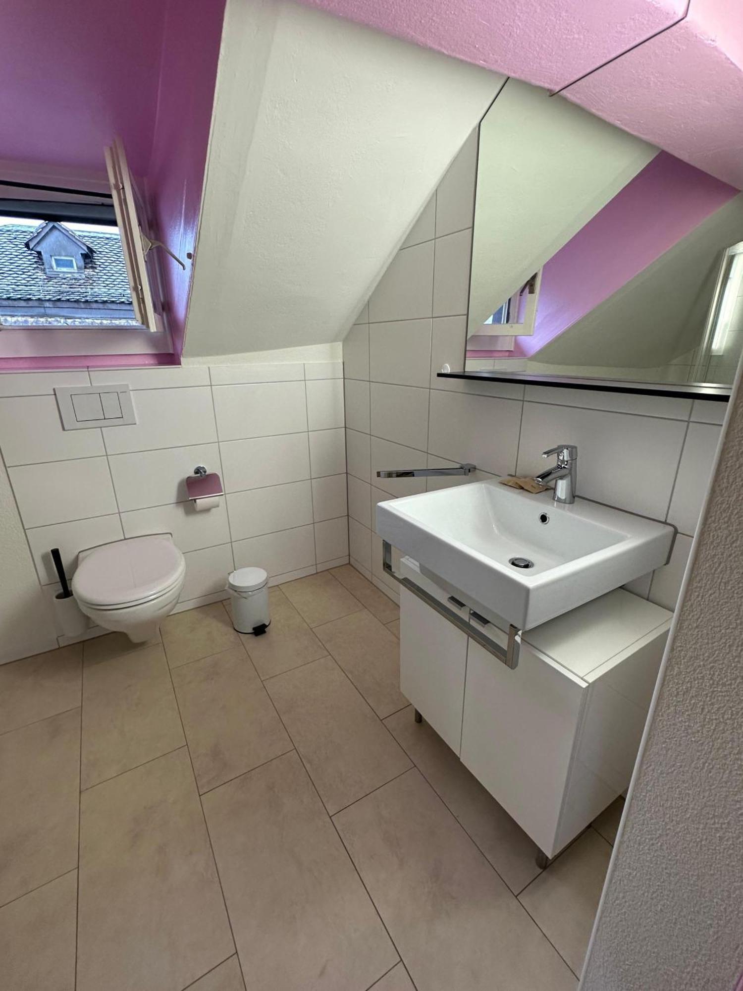 Hitrental Limmatquai Apartment Zürich Kültér fotó
