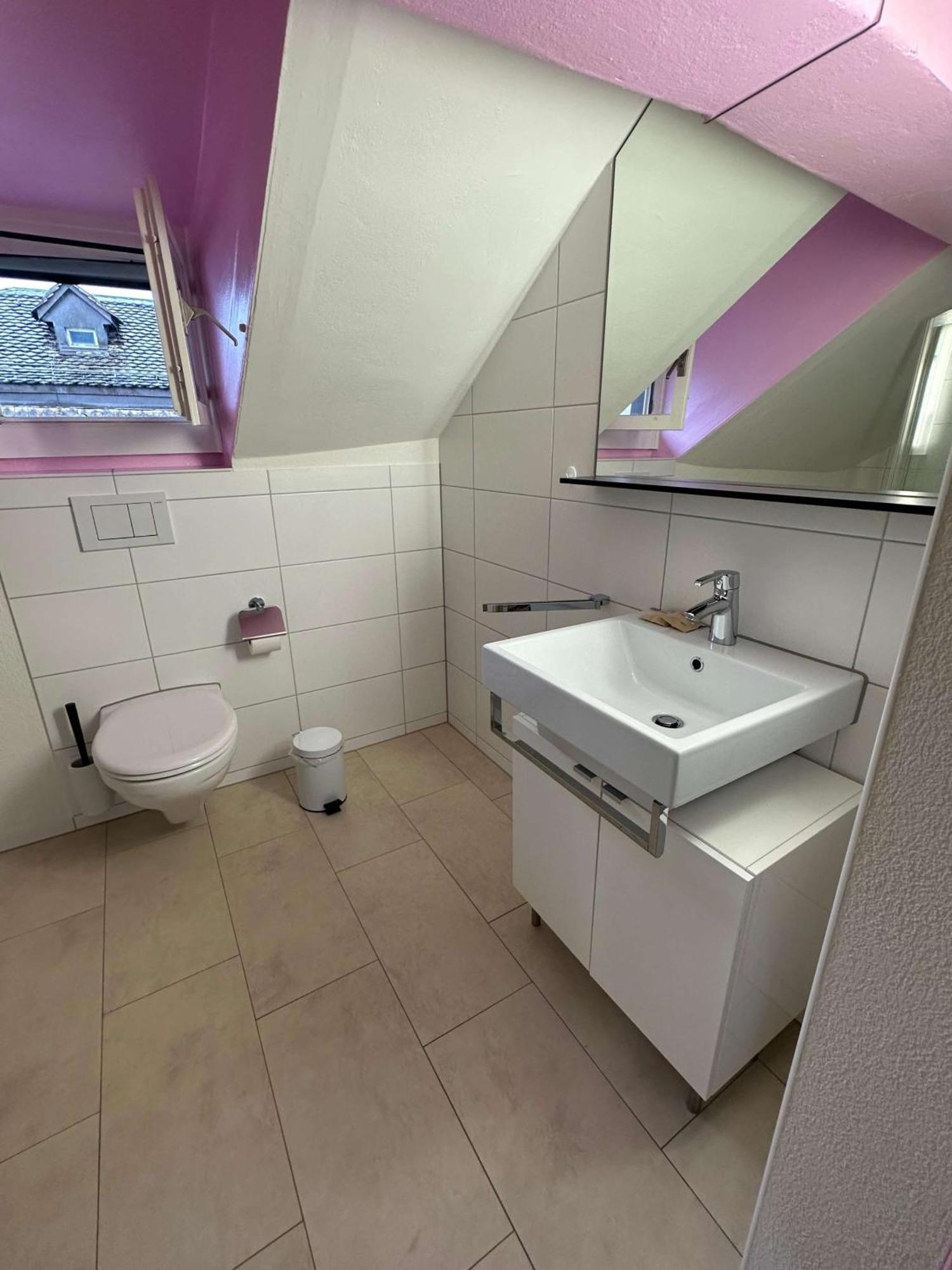 Hitrental Limmatquai Apartment Zürich Kültér fotó
